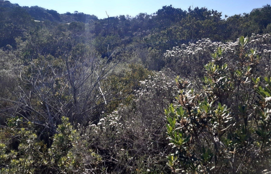 0 Bedroom Property for Sale in Gamtoos Mouth Eastern Cape